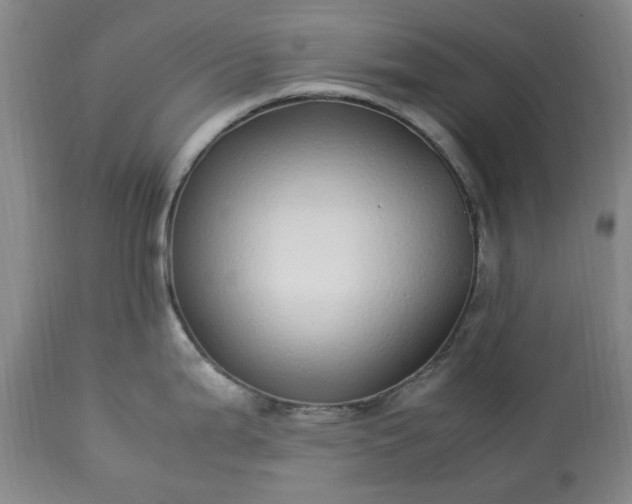 X0000113251199200909241603