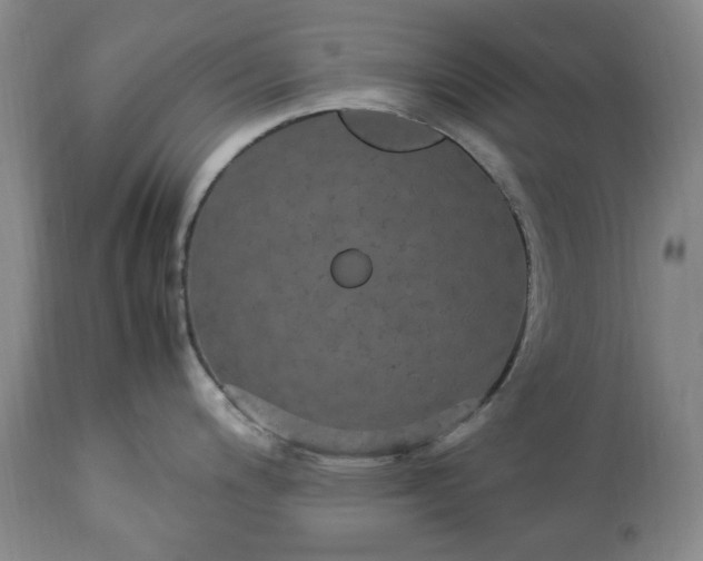 X0000113251200200909241603