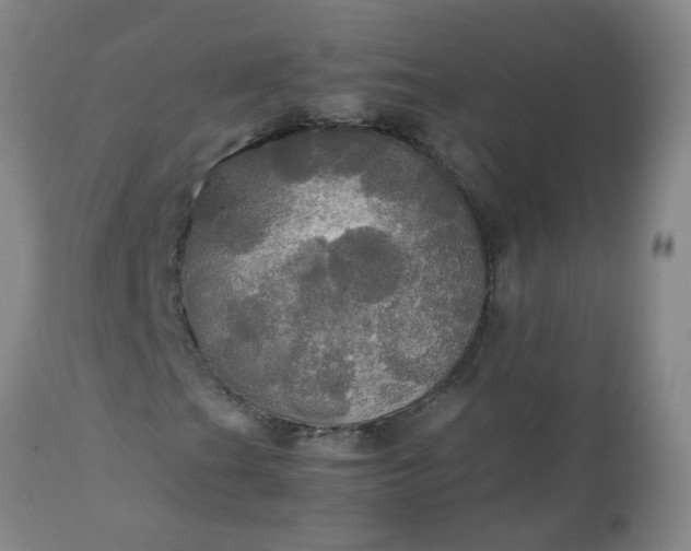 X0000113251201200909241602