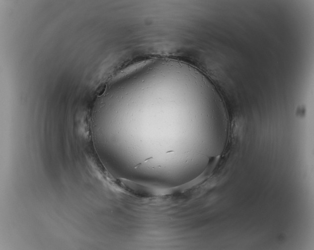 X0000113251202200909241602