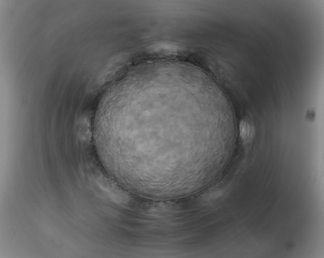 X0000113251203200909241602