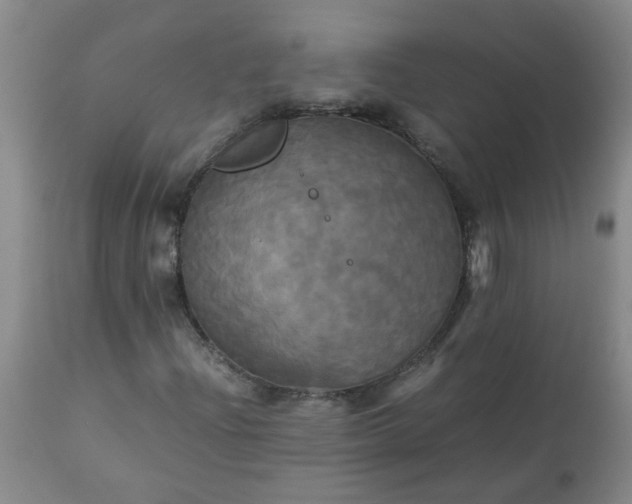 X0000113251204200909241602