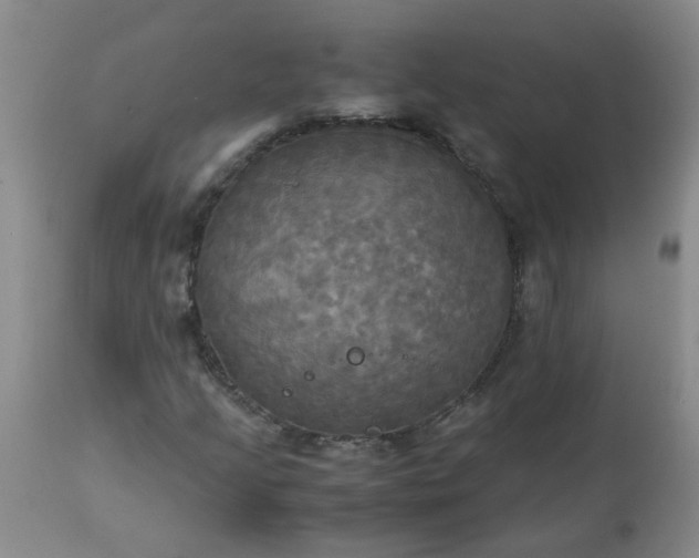 X0000113251205200909241602