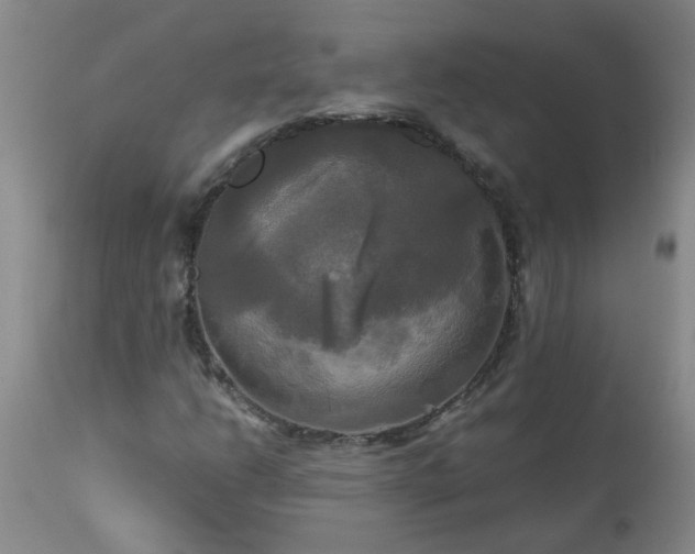 X0000113251206200909241602