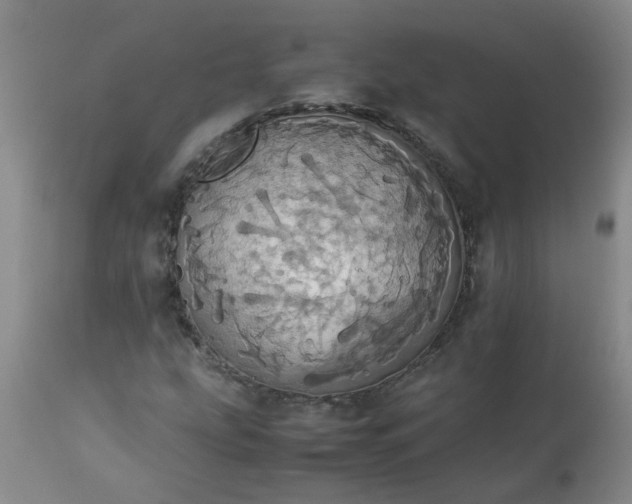 X0000113251207200909241602