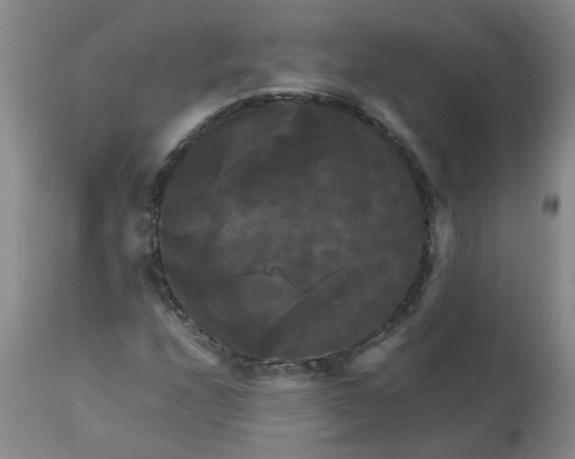 X0000113251208200909241603