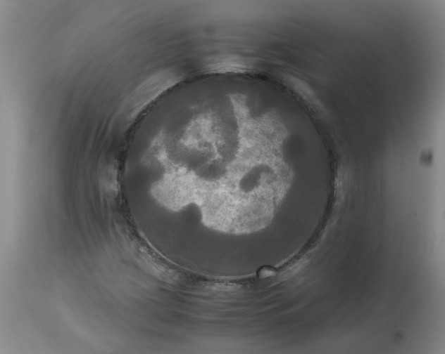 X0000113251209200909241603