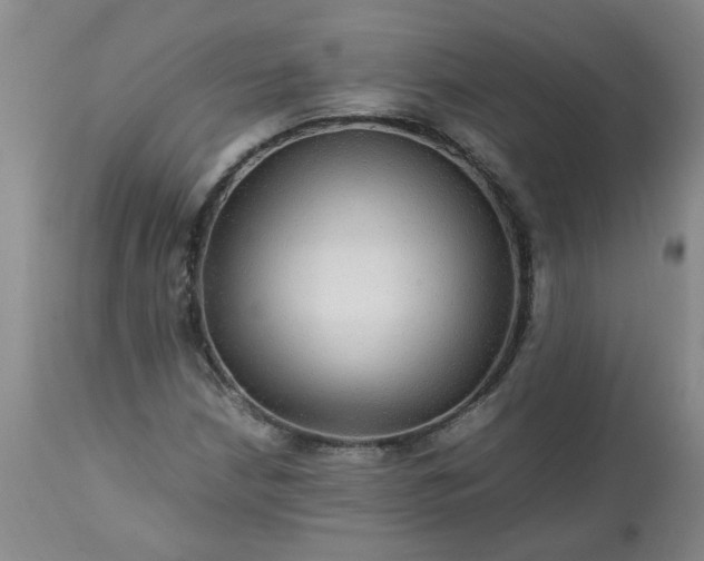 X0000113251210200909241603