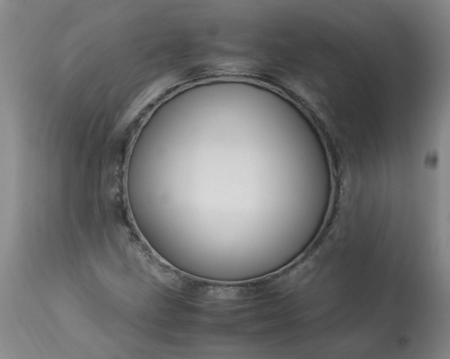 X0000113251211200909241603