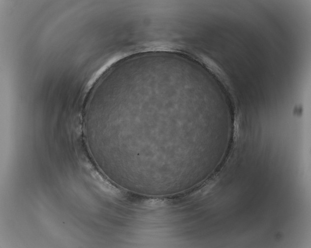 X0000113251212200909241603