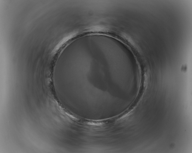 X0000113251213200909241603