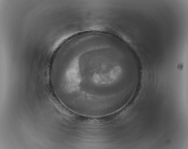 X0000113251214200909241603