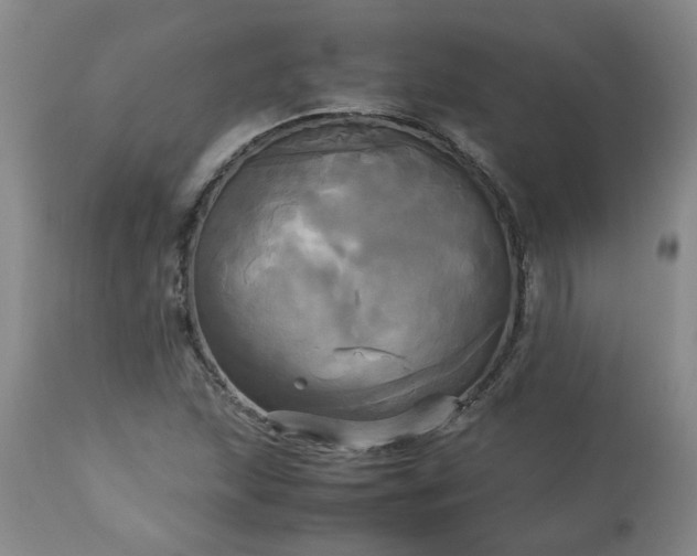 X0000113251215200909241603