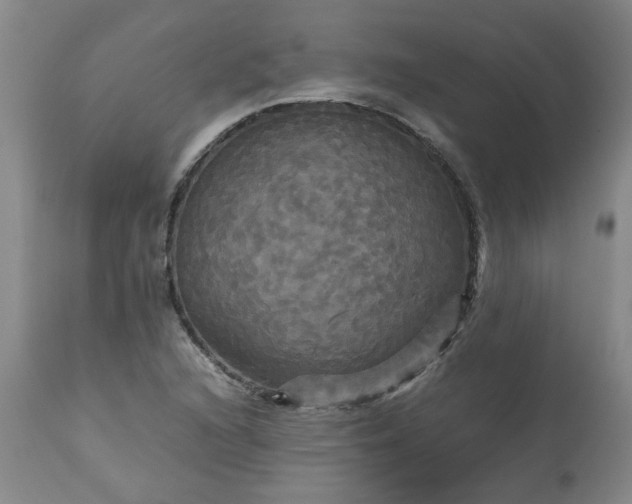 X0000113251216200909241603