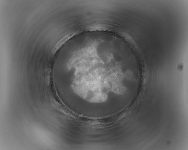 X0000113251217200909241603