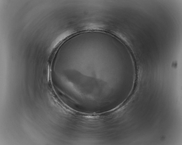 X0000113251219200909241603