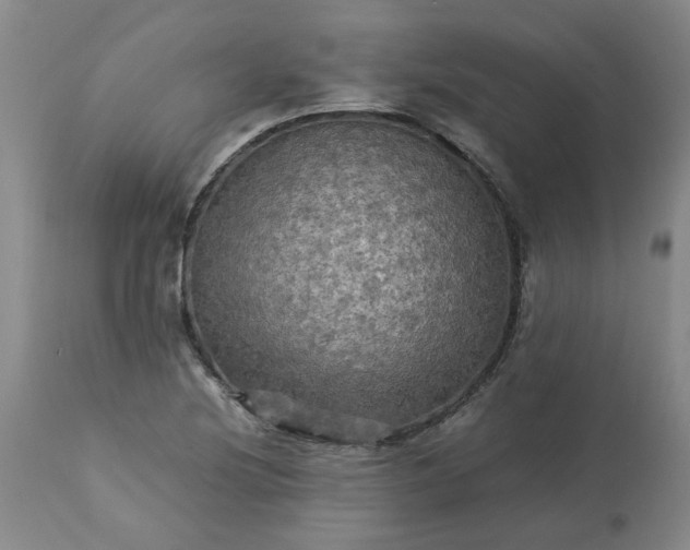 X0000113251220200909241603