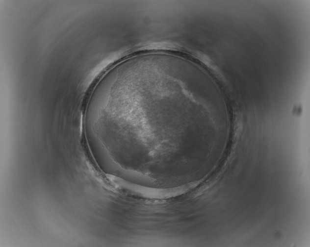 X0000113251221200909241603