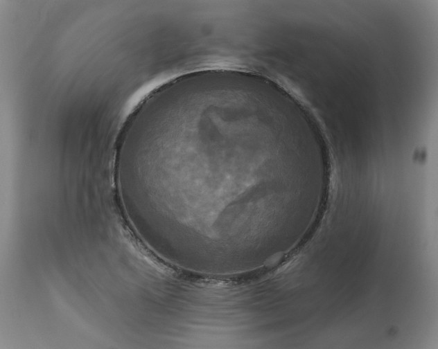 X0000113251222200909241603