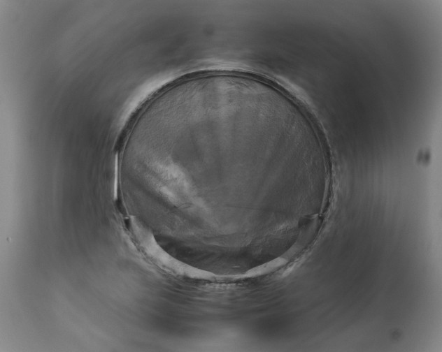 X0000113251223200909241603