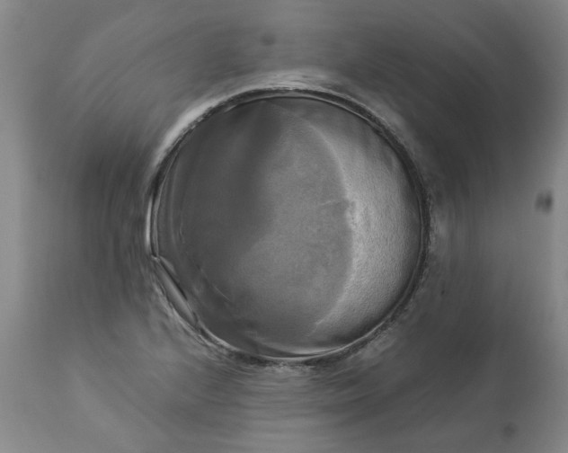 X0000113251224200909241603