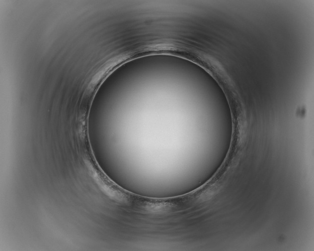 X0000113251225200909241603