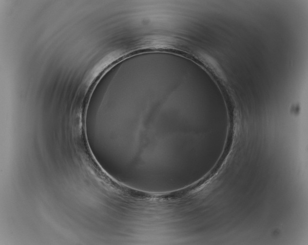 X0000113251226200909241603