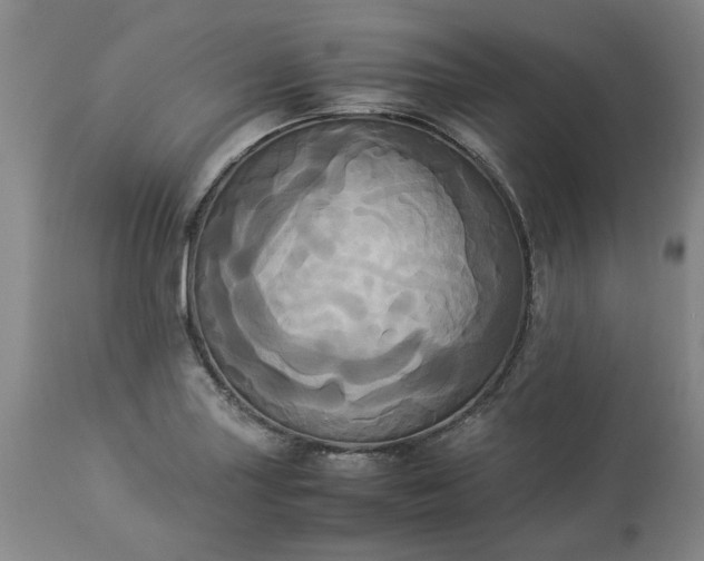 X0000113251227200909241603