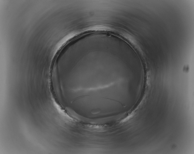 X0000113251229200909241603