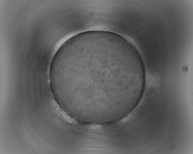 X0000113251230200909241603