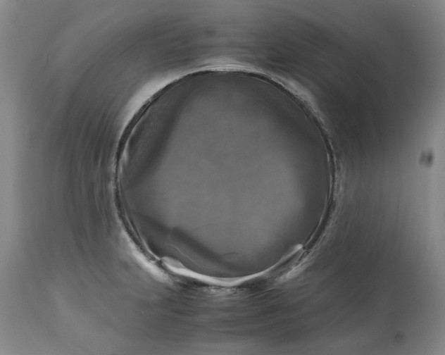 X0000113251231200909241603