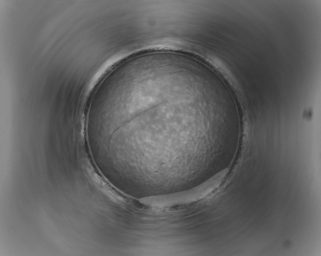 X0000113251232200909241603