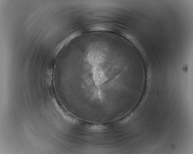 X0000113251233200909241603