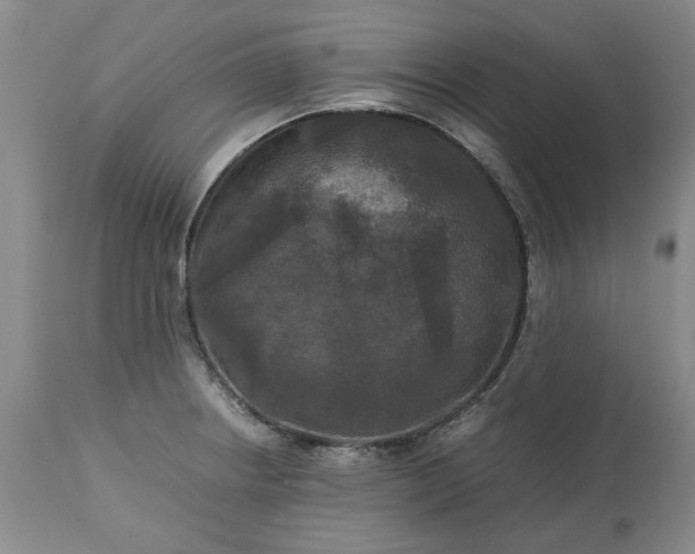 X0000113251234200909241603