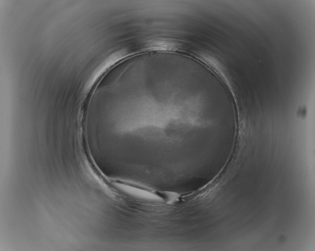 X0000113251235200909241603