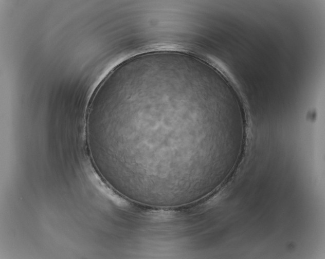 X0000113251236200909241603