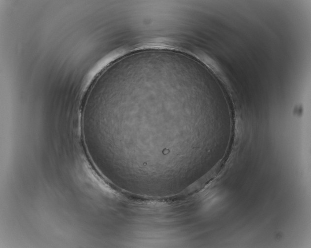 X0000113251238200909241603