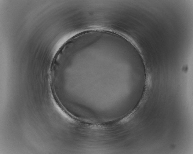 X0000113251239200909241603