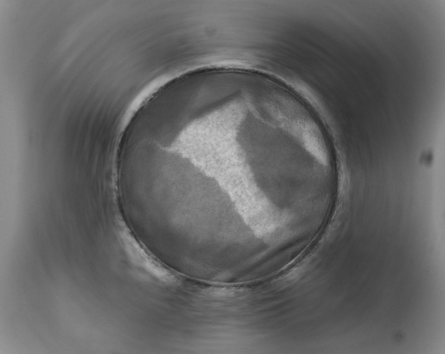 X0000113251240200909241603