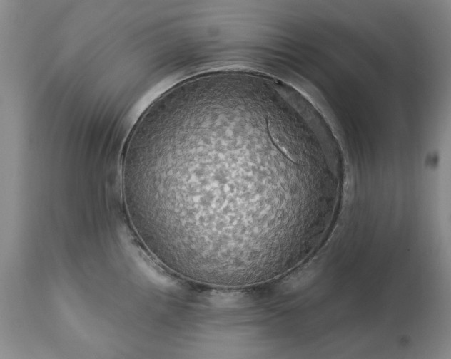 X0000113251242200909241603