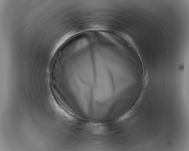 X0000113251243200909241603