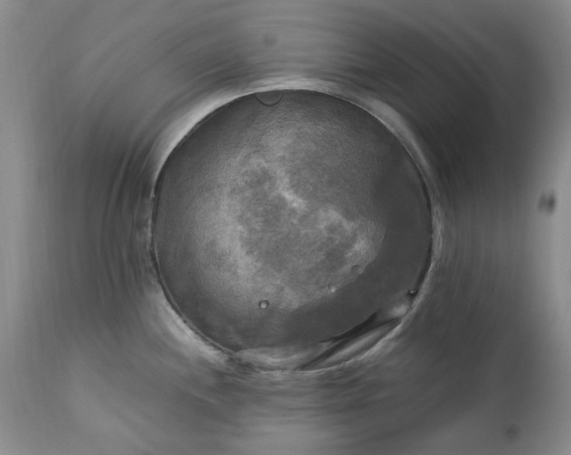 X0000113251244200909241603