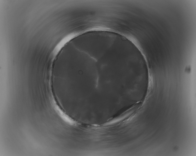 X0000113251245200909241603