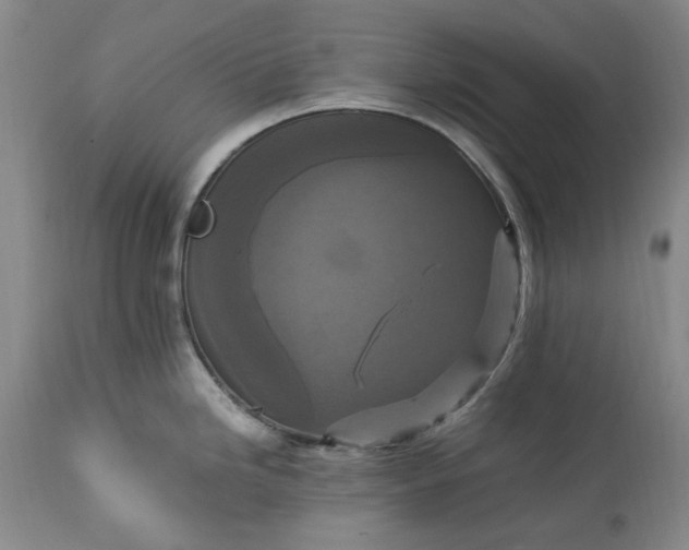 X0000113251246200909241603