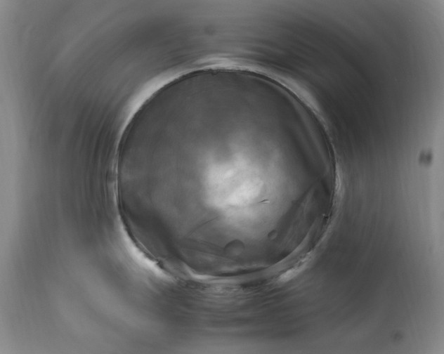 X0000113251247200909241603