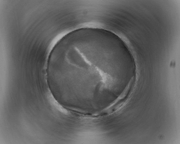 X0000113251248200909241603