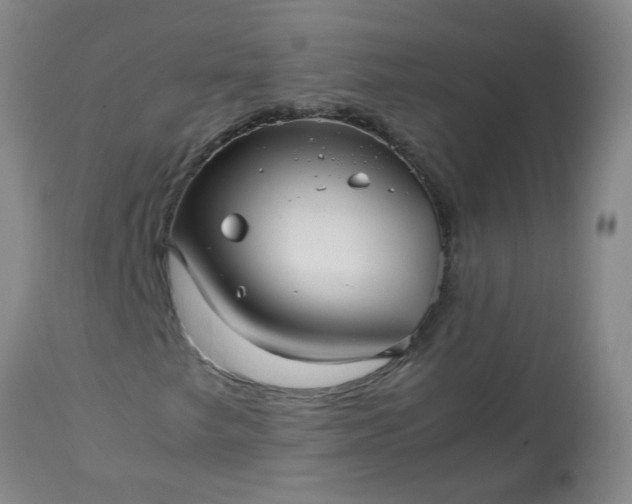 X0000113251249200909241602