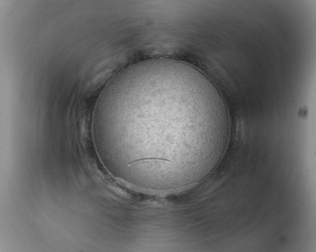 X0000113251250200909241602