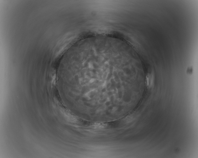 X0000113251251200909241602