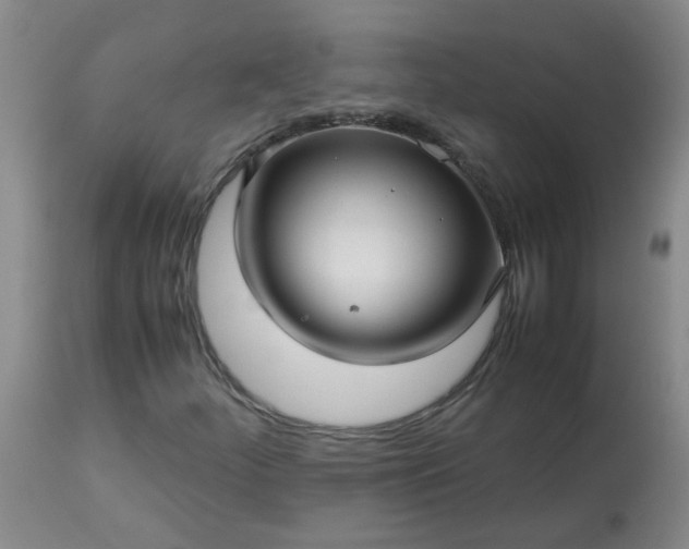 X0000113251252200909241602